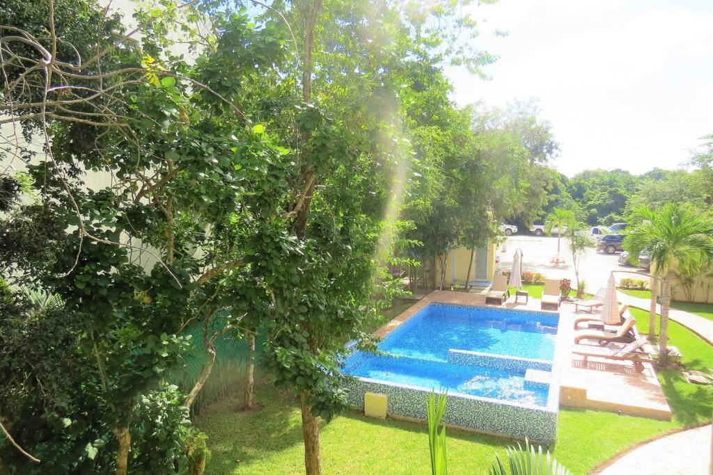 2 Bedrooms Luxury In Apartamento *